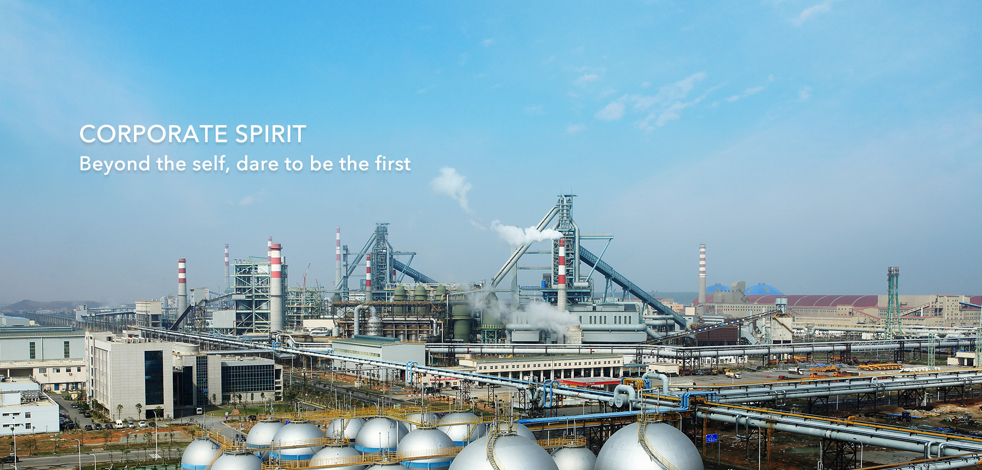 W020250311351198066217